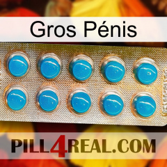 Gros Pénis new09